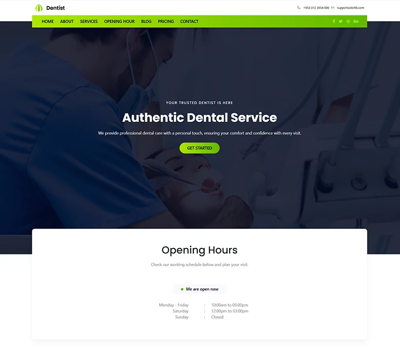 DentistCare - Dental Clinic Landing Page